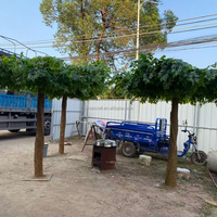 Arbre artificiel Polyscias, tronc en fibre de verre, feuilles en soie, feuillage réaliste, toucher authentique, résistant aux UV, écologique, Nouvel An