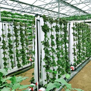 Système de culture de <span class=keywords><strong>tour</strong></span> ZIP verticale hydroponique Lyine Système de culture hydroponique de tuyaux en <span class=keywords><strong>PVC</strong></span> Équipement agricole Jardin hydroponique vertical - Product Image 1