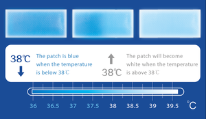 CSI superventas 2024 Hot Flash Blue frente refrigeración pegatina adultos niños terapia conjunto fiebre Cool parche rehabilitación - Product Image 2