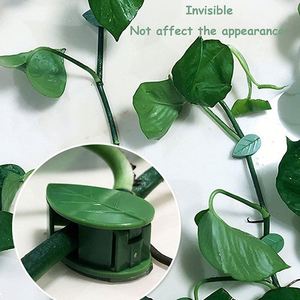 Clips de fixation murale auto-adhésifs pour plantes grimpantes, clips de fixation en forme de feuille pour soutenir les plantes d'intérieur et d'extérieur - Product Image 2