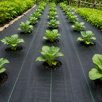 Toile de paillage commerciale en PP tissé pour pépinières, plantes en pot, serres et aménagements paysagers