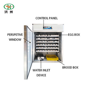 공장 도매 HZ-1056 자동 부화기 닭 오리 거위 메추라기 태양광 부화 시스템 (농업용) - Product Image 3