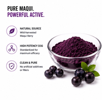 Poudre concentrée de baies d'açaï 100 % pure d'Amazonie, riche en polyphénols, options d'emballage multiples pour le soutien digestif