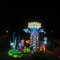 Animal méduse grand chinois année nem lanternes en papier festival extérieur étanche lanterne décorative