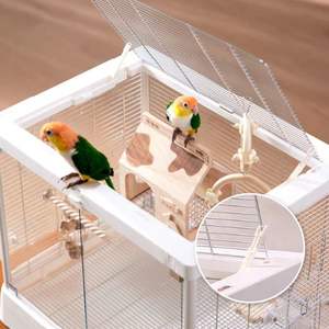 Dayang B6045 kandang burung plastik kaca panorama besar transparansi tinggi kandang burung beo rumah tangga untuk ayam jantan - Product Image 4