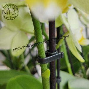 <span class=keywords><strong>NIF</strong></span> Nueva llegada último diseño escalera orquídea enrejado bambú enrejado interior - Product Image 6