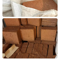 Briques de fibres de coco naturelles de 11 lb, substrat organique pour semis, culture hors-sol, écologique, agricole, Yandong