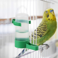 Abreuvoirs automatiques de haute qualité perroquet oiseau distributeur d'eau mangeoire et abreuvoir pour oiseaux
