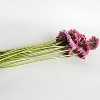 Bunga Krisan Pink Dekorasi Murah Grosir, Buket Bunga Segar Gerbera