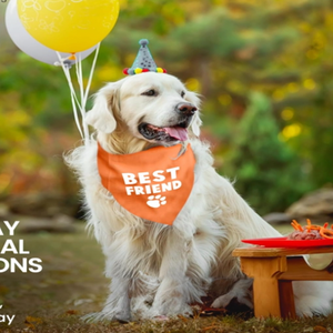 Bandana pour chien ajustable unisexe, mouchoir triangle, bavoir jaune imprimé «Born Run», accessoire de vêtements pour animaux de compagnie lavable et mignon - Product Image 6