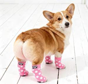 Chaussettes pour <span class=keywords><strong>chien</strong></span> doublées Sherpa <span class=keywords><strong>Chaleur</strong></span> et douceur ultimes - Product Image 5