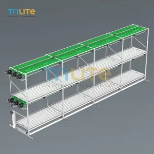 Factory Supplying Customized Ebb And Flow Hydroponic Rack Grow Hydroponic Grow Vertical Vertical Farming