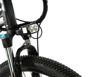 Bicicleta eléctrica de montaña India, económica, el precio más bajo, 36V, 250W, bicicleta de montaña India - Product Image 3