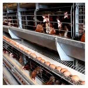 Best Sale Egg Chicken Poultry Farming Equipment Battery Layer Cages in south africa