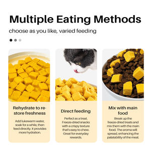 Snack per Cani e Gatti Liofilizzati di Alta Qualità a Prezzo di Fabbrica, Ricompense Nutrienti per l'Addestramento - Product Image 2