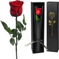 Geconserveerde rozen - Echte rozen uit China voor vrouwen, Moederdag, Valentijnsdag, jubileumgeschenken