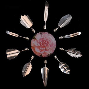 HY 10 pièces/ensemble Outils d'art floral en gelée 3D, seringue à gelée pour gâteau, pudding, gelée, ensemble de buses, outils de décoration de gâteaux - Product Image 6