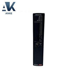 DO3401 Módulo de Salida Digital Triconex - Product Image 2