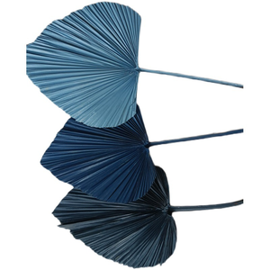 Hojas de Palma Secas, Teñidas de Colores, Hojas Naturales de Palma Secas para Arcos de Boda, Decoraciones Interiores y Exteriores - Product Image 5