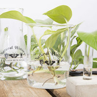 Esschert Design plante de jardin d'intérieur fleur de table boîte de Pétri en verre bécher flacon vase pour plantes hydroponiques d'intérieur
