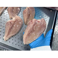 Filetes de pechuga de pollo sin piel sin hueso congelados de alta calidad buen precio compatible con Halal