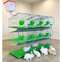 Système d'élevage de lapins galvanisé robuste pour fermes commerciales avec compartiment de nidification intégré et surface de nettoyage facile