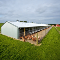 Bâtiment commercial préfabriqué en acier à faible coût, hangar à poulets, structure en acier pour élevage avicole