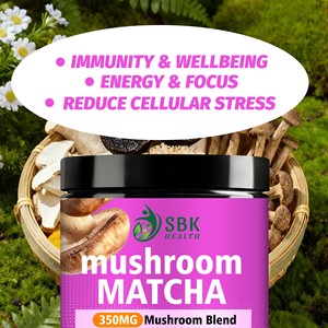 Poudre de Matcha aux Champignons OEM ODM 350mg, Mélange de Champignons 10:1 par Portion, Immunité Renforcée, Énergie Accrue, Concentration Améliorée - Product Image 6