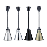 Nouveau télescopique levage infrarouge isolation lampe ascenseur en gros suspendu alimentaire lustre buffet alimentaire affichage lampe chauffante