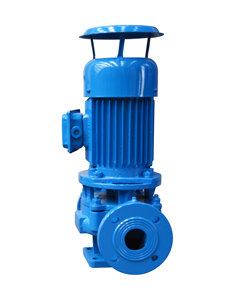 ปั๊มน้ำแบบขั้นตอนเดียว ดีไซน์บำรุงรักษาน้อย ใช้งานเสถียร ใช้งานง่าย สำหรับถ่ายโอนน้ำสะอาด - Product Image 1