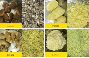 Composants de base de la machine à hacher les composants de la machine à hacher les haricots et les légumes frais efficaces-Moteur pour la boulangerie - Product Image 2