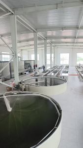 Binnenland Recirculerend Aquacultuursysteem Met Hoge Dichtheid Voor Visteelt Binnenshuis - Product Image 3