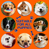 Suppléments de soins pour animaux de compagnie de qualité supérieure pour le soutien de la glande anale du chien 24 mois Application d'acide glutamique de canneberge pour toutes les races