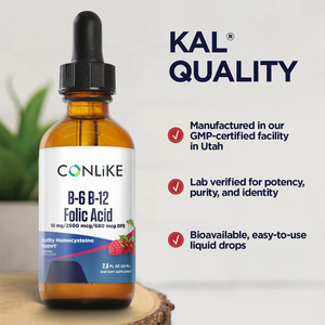 OEM B6 <span class=keywords><strong>B12</strong></span> Foliumzuur Oraal Vloeibaar Druppels Snelle Absorptie Formule Immuunondersteuning Verbeterde Botdichtheid Natuurlijk Gezondheidssupplement - Product Image 4