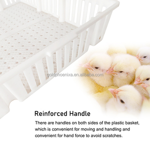 QA casse di plastica per il trasporto di polli dal vivo casse per il trasporto di pollame per piccioni di quaglia - Product Image 2