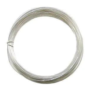Pure Flat Silver Alloy Wire 999 Insulated Type
