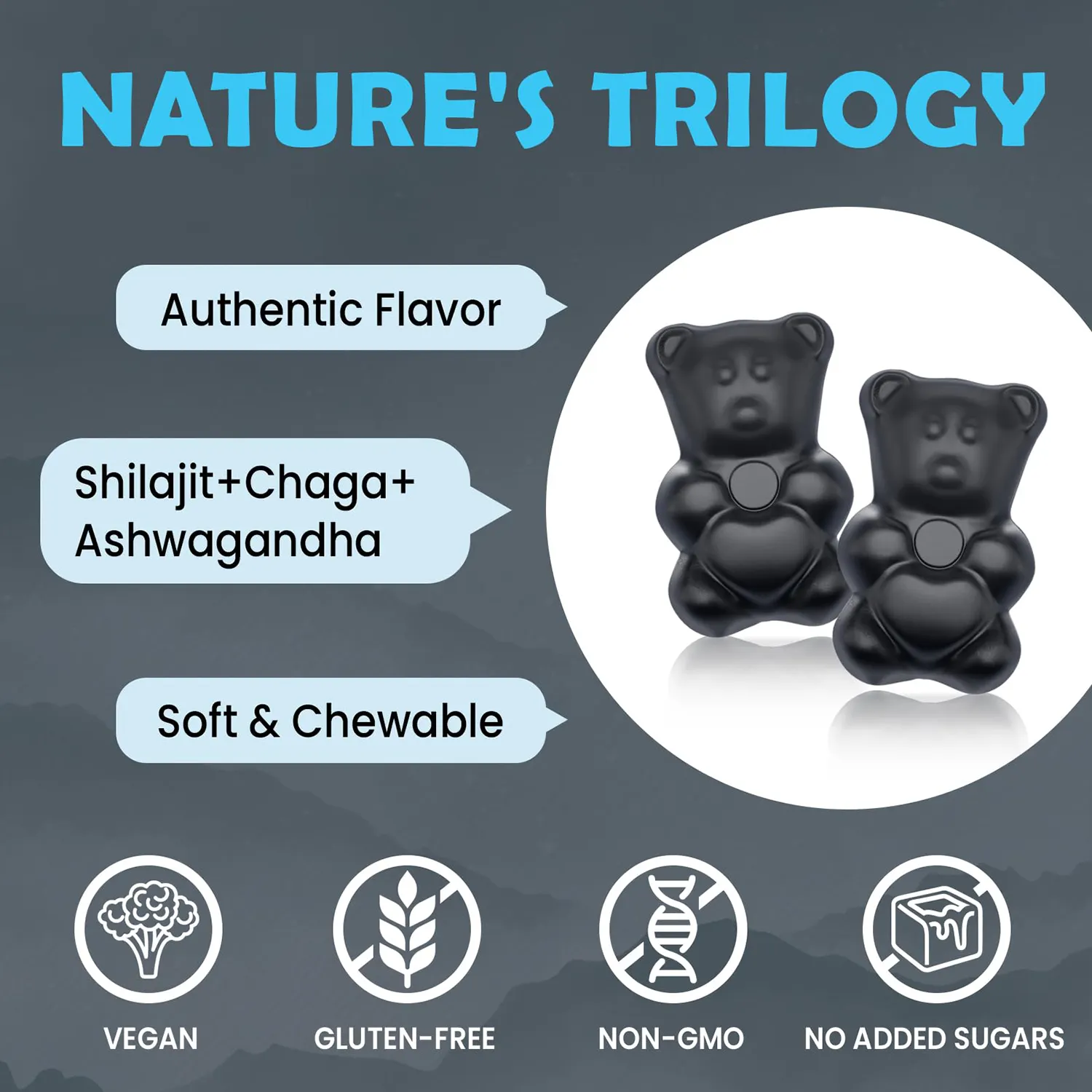 Personalización Himalayan Gummy Ashwagandha Chaga Extracto Pure Shilajit Resin Extarct Gummies