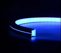 WS2812B WS2811 Tube néon en silicone pour LED Gel de silice Tube de lampe souple IP67 Bande lumineuse flexible étanche pour la décoration