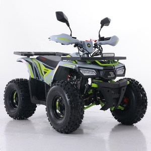 Tao Motor 2024 nouveau ATV <span class=keywords><strong>125</strong></span> pas cher <span class=keywords><strong>chinois</strong></span> automatique chaîne entraînement ferme ATV 125cc ATV - Product Image 2