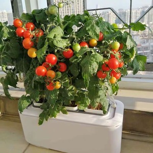 Fabricant vente en gros pot de plantation en plastique intelligent boîte hydroponique arrosage automatique balcon culture de légumes outil des gens <span class=keywords><strong>paresseux</strong></span> - Product Image 1