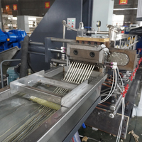 Granulateur de masterbatch de couleur/noir, machine d'extrusion de granulation de plastique bois-plastique PP/PE