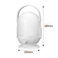 Lanterne de camping d'urgence rechargeable LED DP Chine, lampe portable USB Type-C