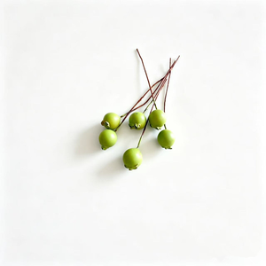Module <span class=keywords><strong>de</strong></span> décoration artificielle <span class=keywords><strong>en</strong></span> mousse, fruits artificiels bleuets, pour <span class=keywords><strong>couronne</strong></span> <span class=keywords><strong>de</strong></span> Noël, mariage et décoration intérieure - Product Image 2