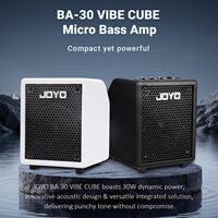 Nouvel amplificateur combo portable JOYO BA-30 pour basse électrique, léger, conçu pour les performances de groupe, ampli basse 30W, amplificateur combo extérieur