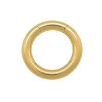 Anneau segmenté en acier inoxydable pour piercing corporel, cadeau pour enfant, piercing génital masculin, anneau Prince Albert, poids d'expansion, plugs d'oreille