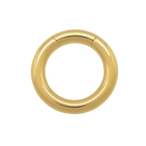 <span class=keywords><strong>Anneau</strong></span> segmenté en acier inoxydable pour piercing corporel, <span class=keywords><strong>anneau</strong></span> <span class=keywords><strong>Prince</strong></span> <span class=keywords><strong>Albert</strong></span> pour piercing génital masculin, poids d'expansion, plugs d'oreille, boucles d'oreilles piercing - Product Image 3