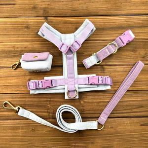 Produttore Professionale di Articoli per Animali Domestici Set Personalizzato per Passeggiata Cani - Pettorina Collare Guinzaglio Porta Sacchetti Igienici - Product Image 3