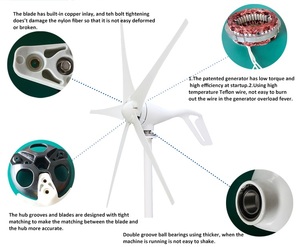 <span class=keywords><strong>Mini</strong></span> Aerogenerador de 3 Aspas y 800w, Turbina Eólica Verde para Uso Doméstico, Luces de Parque y Carretera, Generador Magnético - Product Image 4