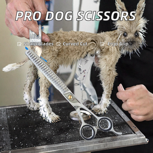 Ciseaux de toilettage pour chien de 6,5 pouces, en acier inoxydable, lame droite et aiguisée, pour droitiers, ciseaux à effiler pour animaux de compagnie, outil professionnel pour toilettage - Product Image 2