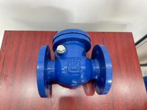 DIN DN50 DN100 PN16 PN10 gang gg25 mặt bích không trở lại kiểm tra van sắt dễ uốn ggg50 <span class=keywords><strong>Swing</strong></span> kiểm tra van - Product Image 5